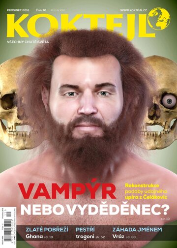 Obálka e-magazínu Koktejl 12/2016