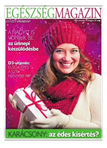 Obálka e-magazínu Új Szó príloha 4/12/2015