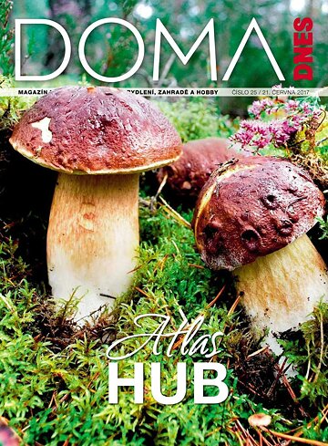 Obálka e-magazínu Doma DNES 21.6.2017