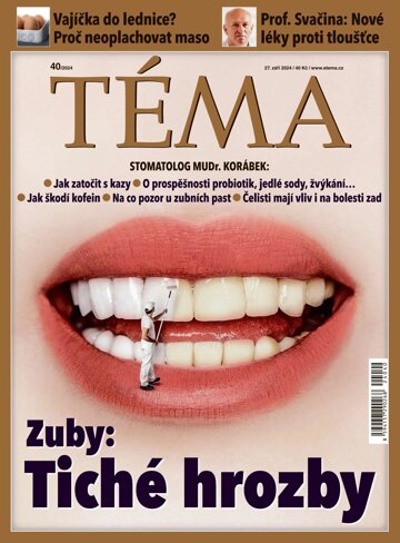 Obálka e-magazínu TÉMA 27.9.2024