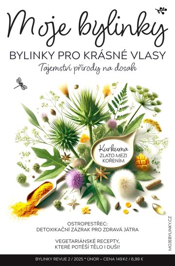 Obálka e-magazínu Bylinky 2/2025