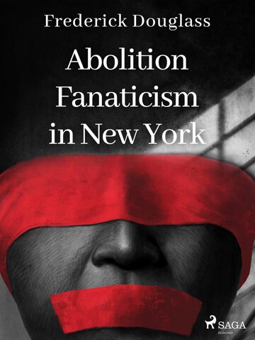 Obálka knihy Abolition Fanaticism in New York