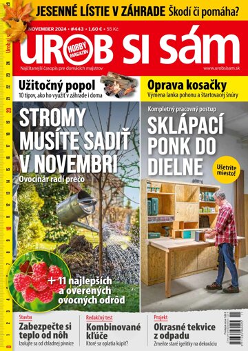 Obálka e-magazínu Urob si sám 11/2024