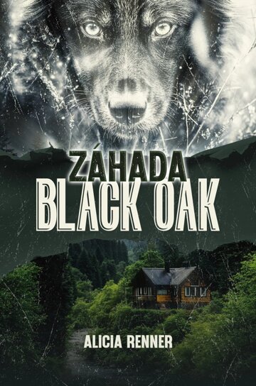 Obálka knihy Záhada Black Oak