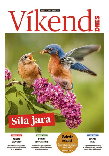 Obálka e-magazínu Víkend DNES Jižní Čechy - 22.3.2025