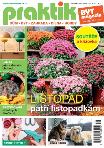 Obálka e-magazínu PRAKTIK & příloha Byt magazín 10/20.11.202424