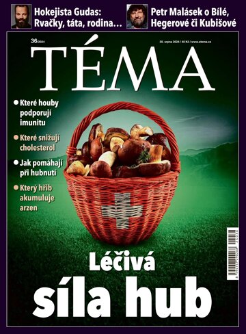 Obálka e-magazínu TÉMA 30.8.2024