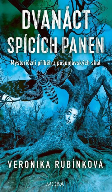 Obálka knihy Dvanáct spících panen