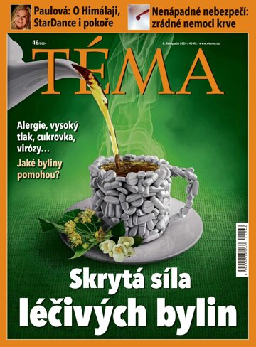 Obálka e-magazínu TÉMA 8.11.2024