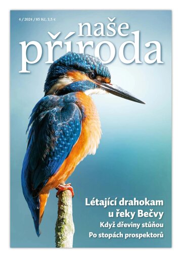 Obálka e-magazínu Naše příroda 4/2024