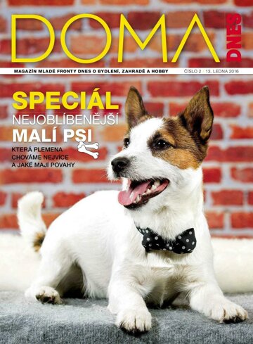 Obálka e-magazínu Doma DNES 13.1.2016