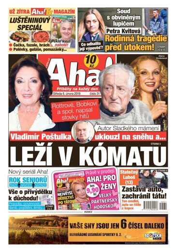 Obálka e-magazínu AHA! 6.2.2019