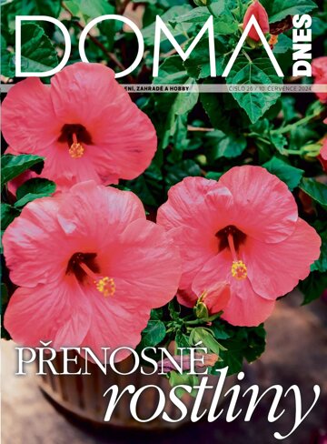 Obálka e-magazínu Doma DNES 10.7.2024