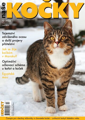 Obálka e-magazínu Naše kočky 12/2024