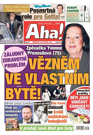 Obálka e-magazínu AHA! 31.3.2023