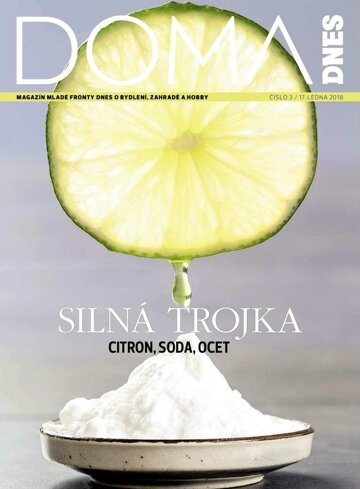 Obálka e-magazínu Doma DNES 17.1.2018