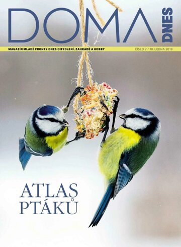 Obálka e-magazínu Doma DNES 10.1.2018