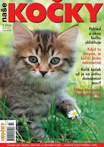 Obálka e-magazínu Naše kočky 7/2024