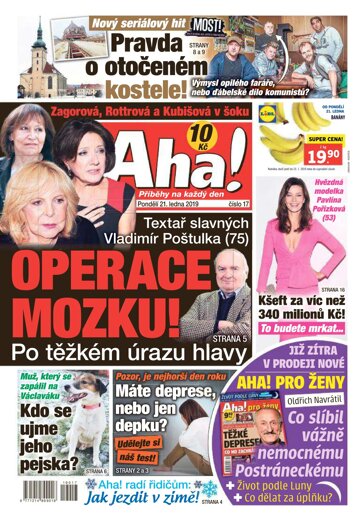 Obálka e-magazínu AHA! 21.1.2019