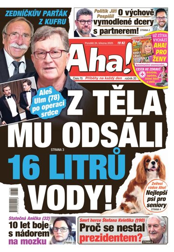 Obálka e-magazínu AHA! 24.3.2025